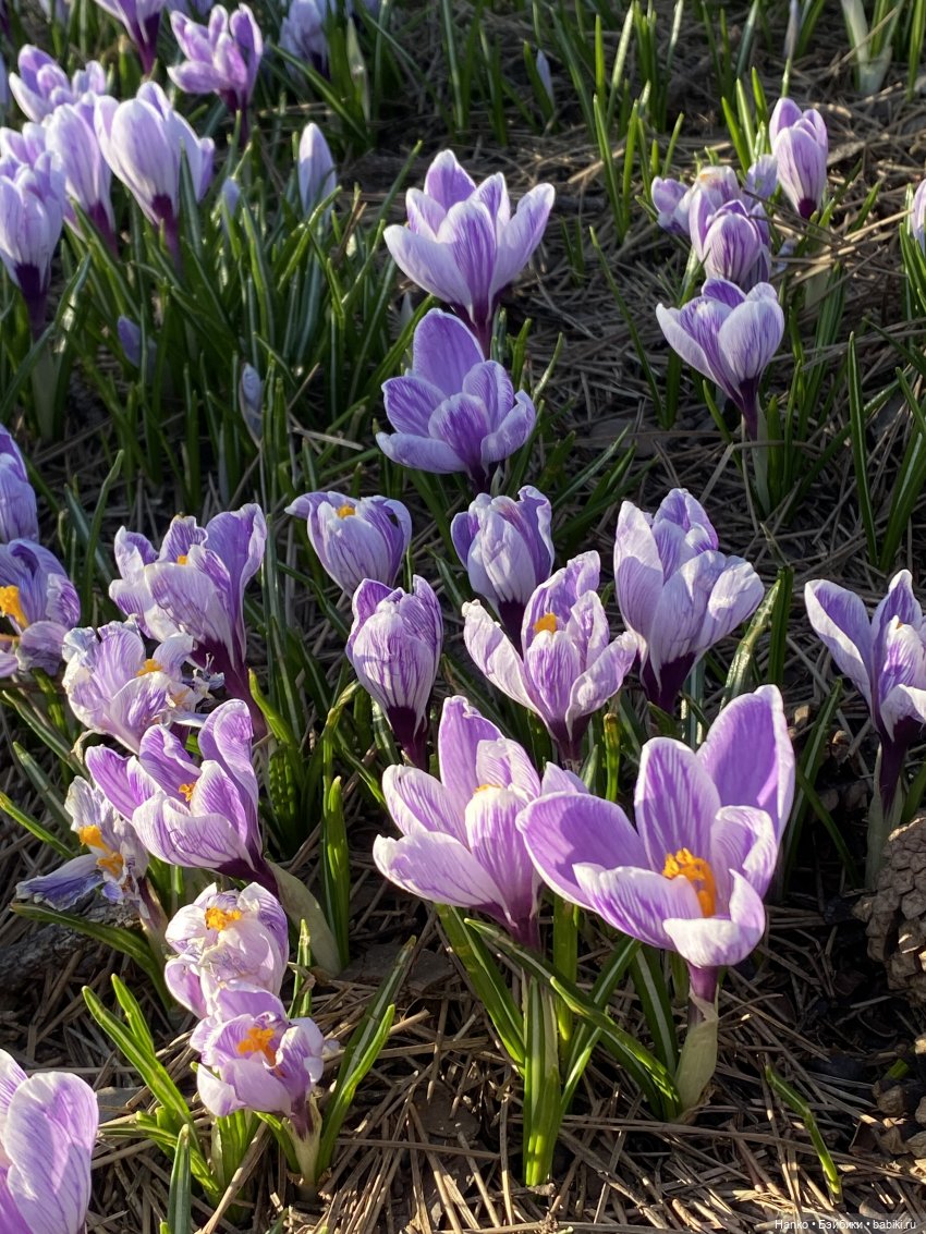 Три дня в Москве — Туризм и путешествия: фотоотчеты из поездок