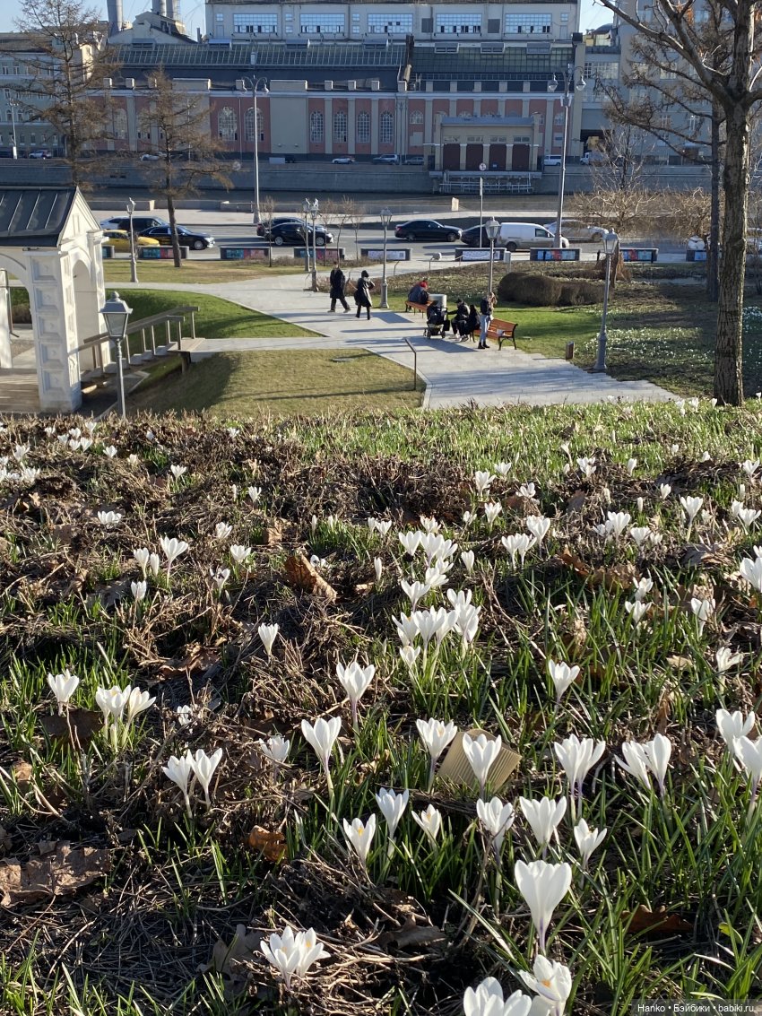 Три дня в Москве — Туризм и путешествия: фотоотчеты из поездок