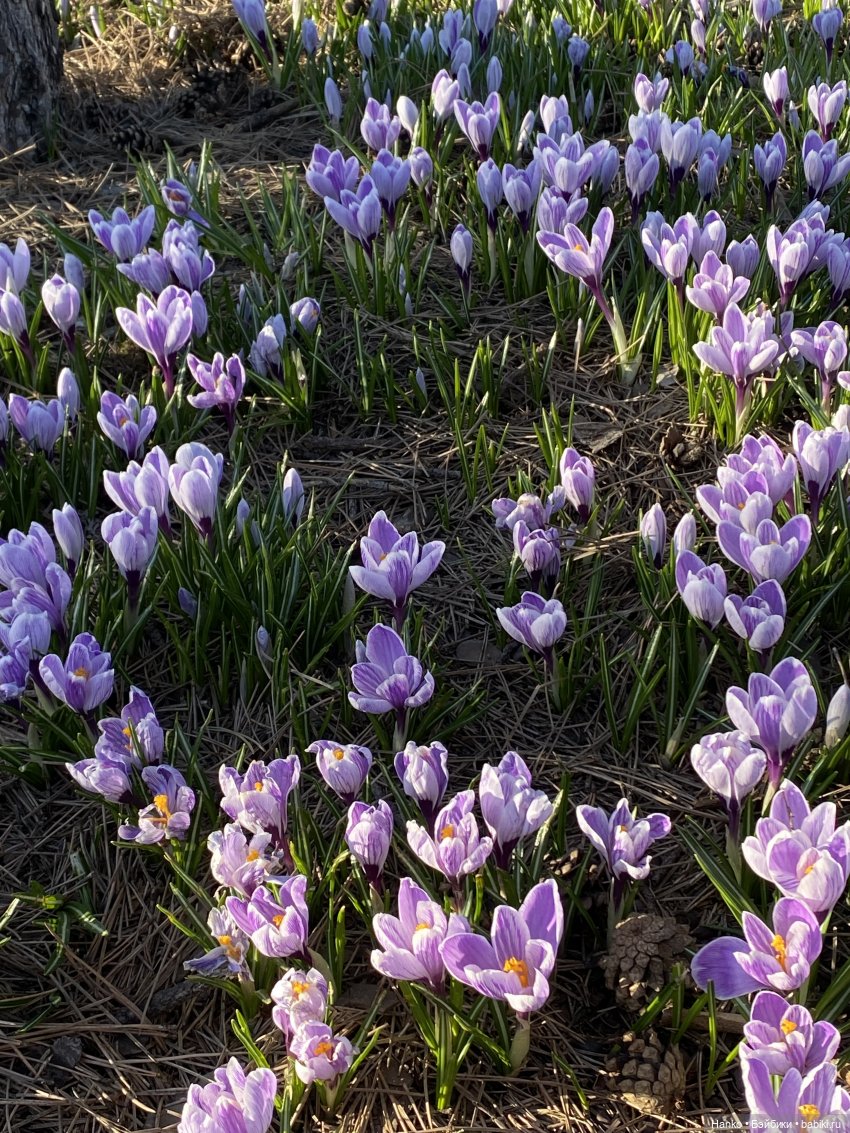 Три дня в Москве — Туризм и путешествия: фотоотчеты из поездок