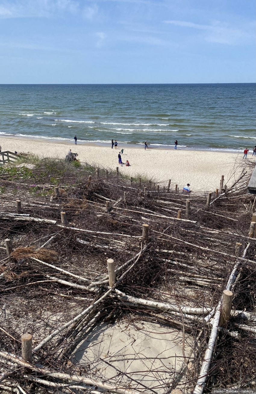 Путешественники — Куклы Kelly (Келли): Сестра Барби