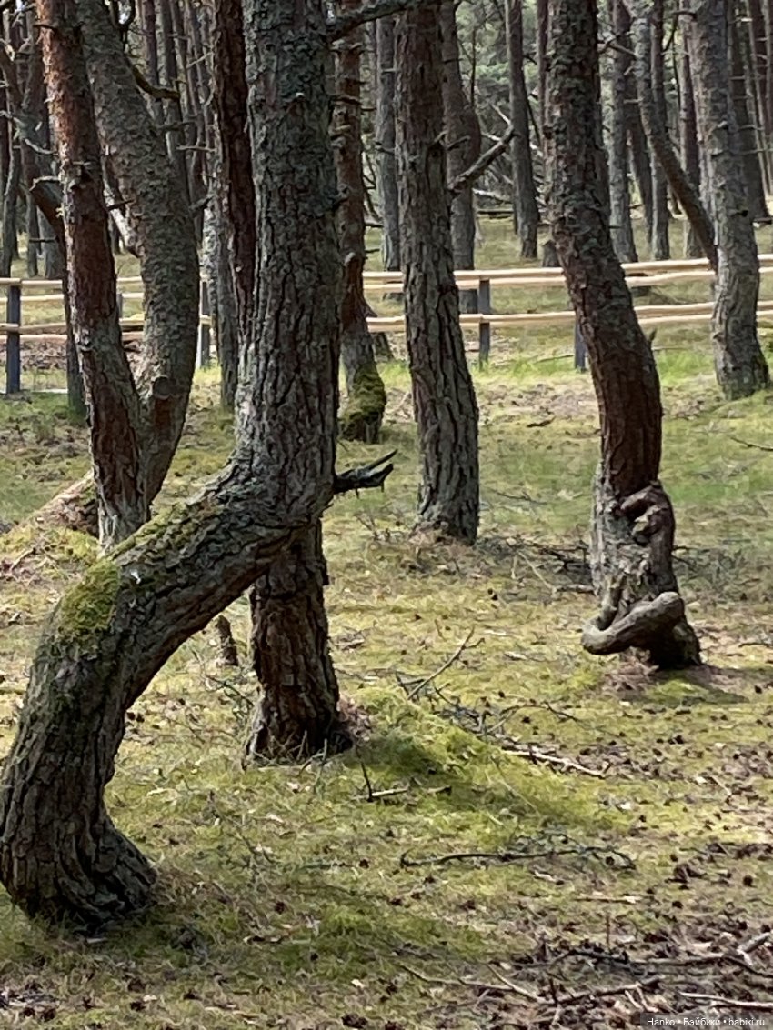 Путешественники — Куклы Kelly (Келли): Сестра Барби