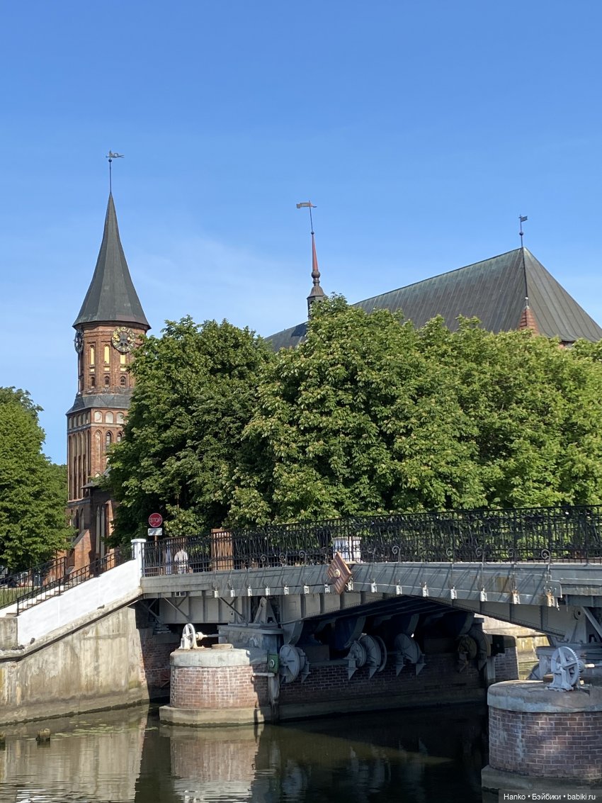 Путешественники — Куклы Kelly (Келли): Сестра Барби (фото 10)