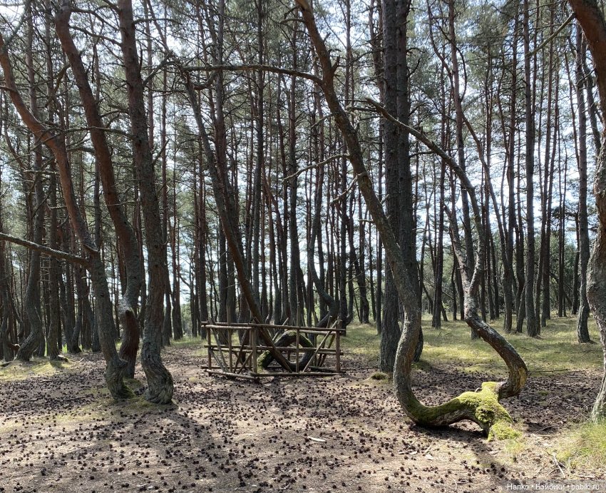 Путешественники — Куклы Kelly (Келли): Сестра Барби