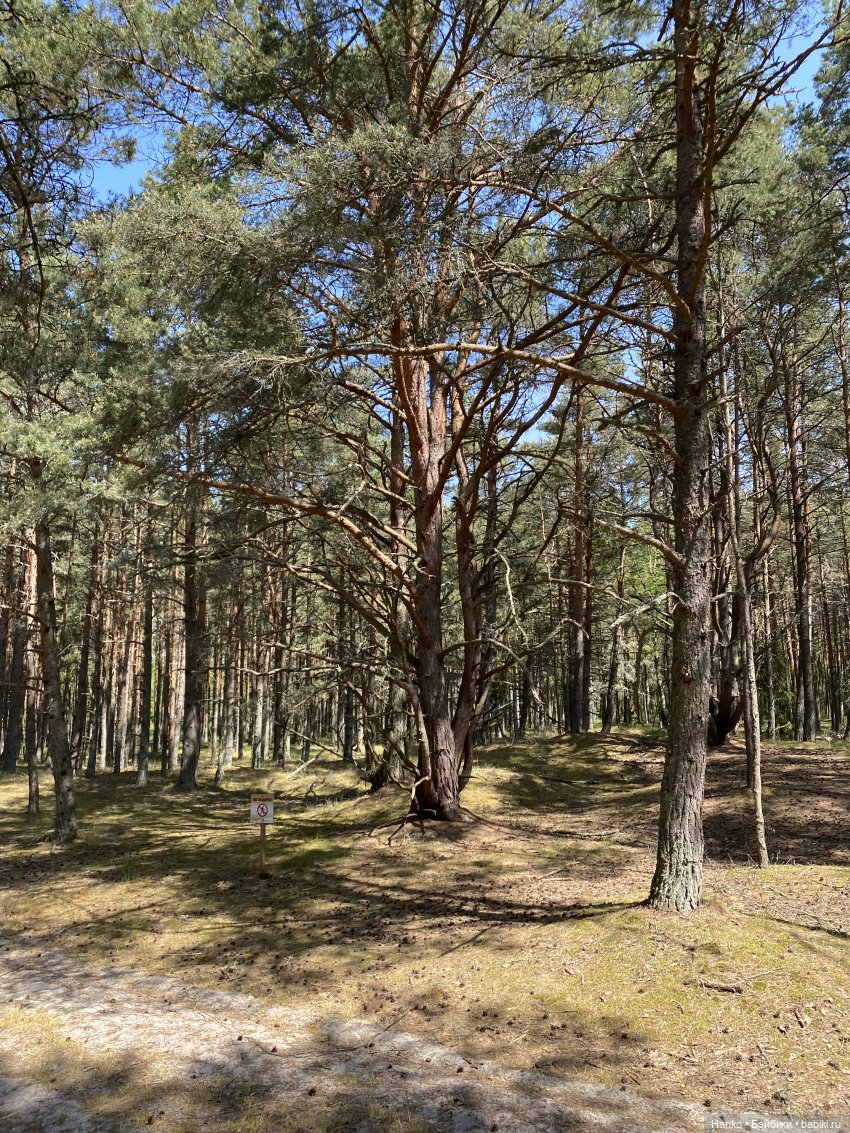 Путешественники — Куклы Kelly (Келли): Сестра Барби