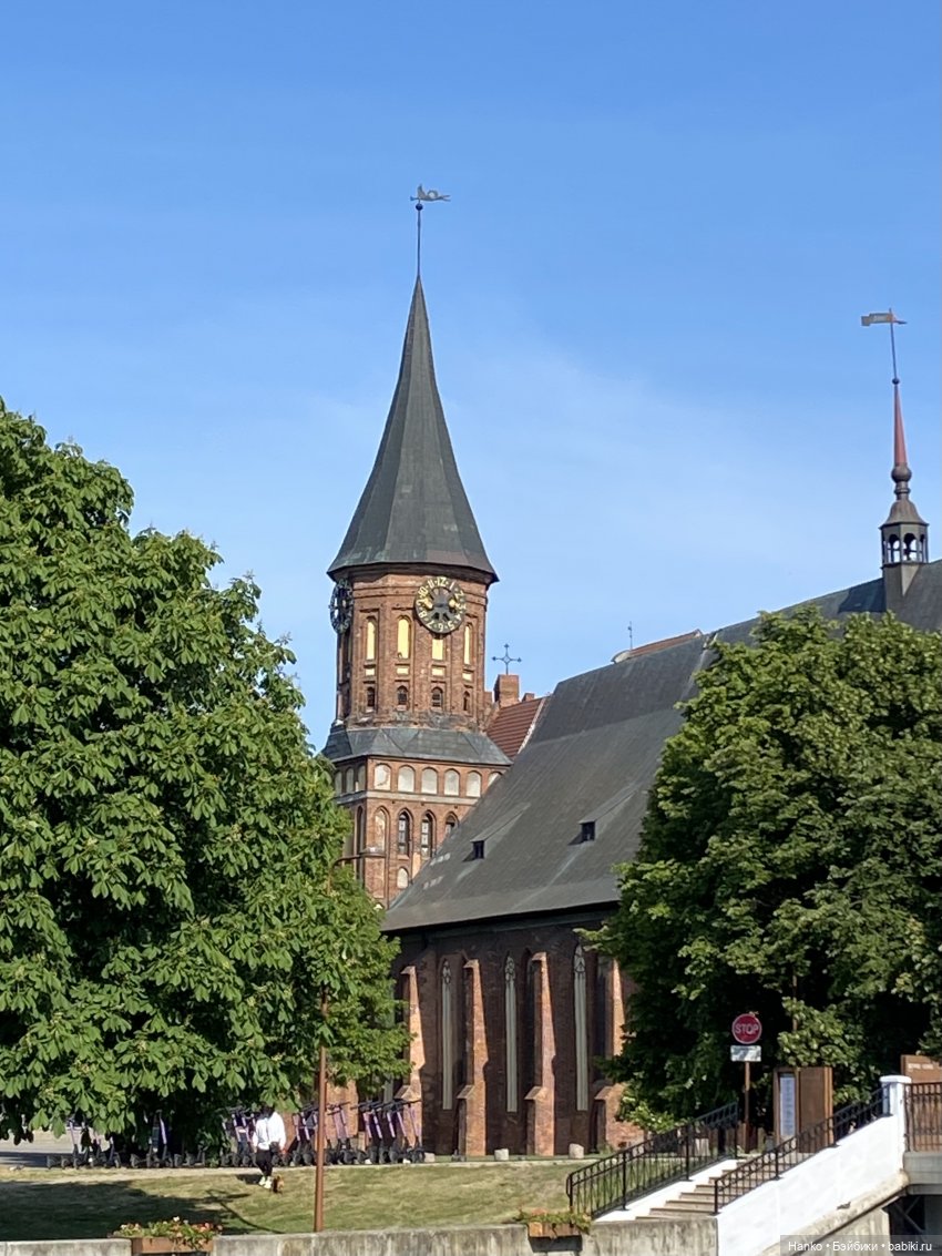 Путешественники — Куклы Kelly (Келли): Сестра Барби (фото 9)