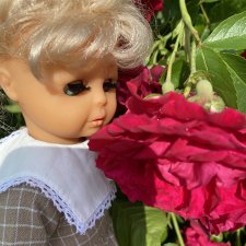 Плахо и цветы.