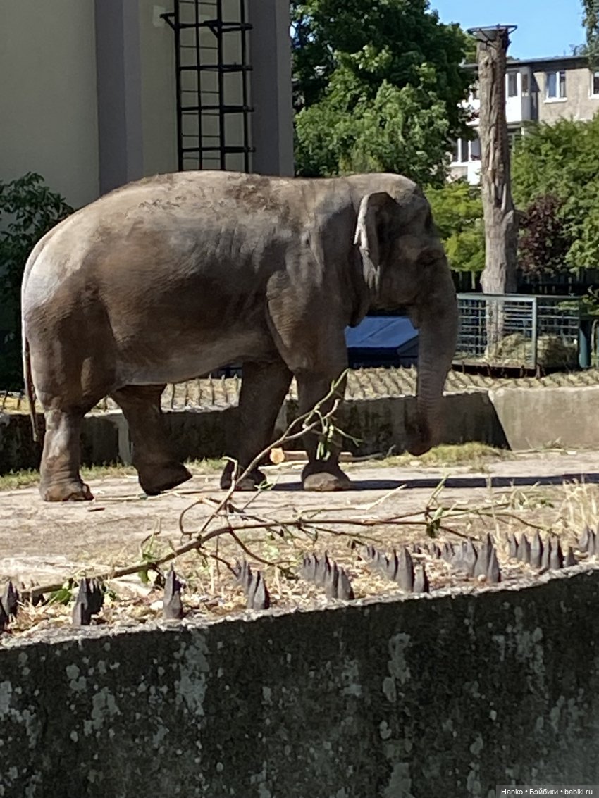 «МУМУКА» — Туризм и путешествия: фотоотчеты из поездок