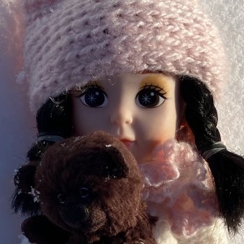 А медведи не спят