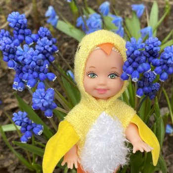 Келли цыплёнок