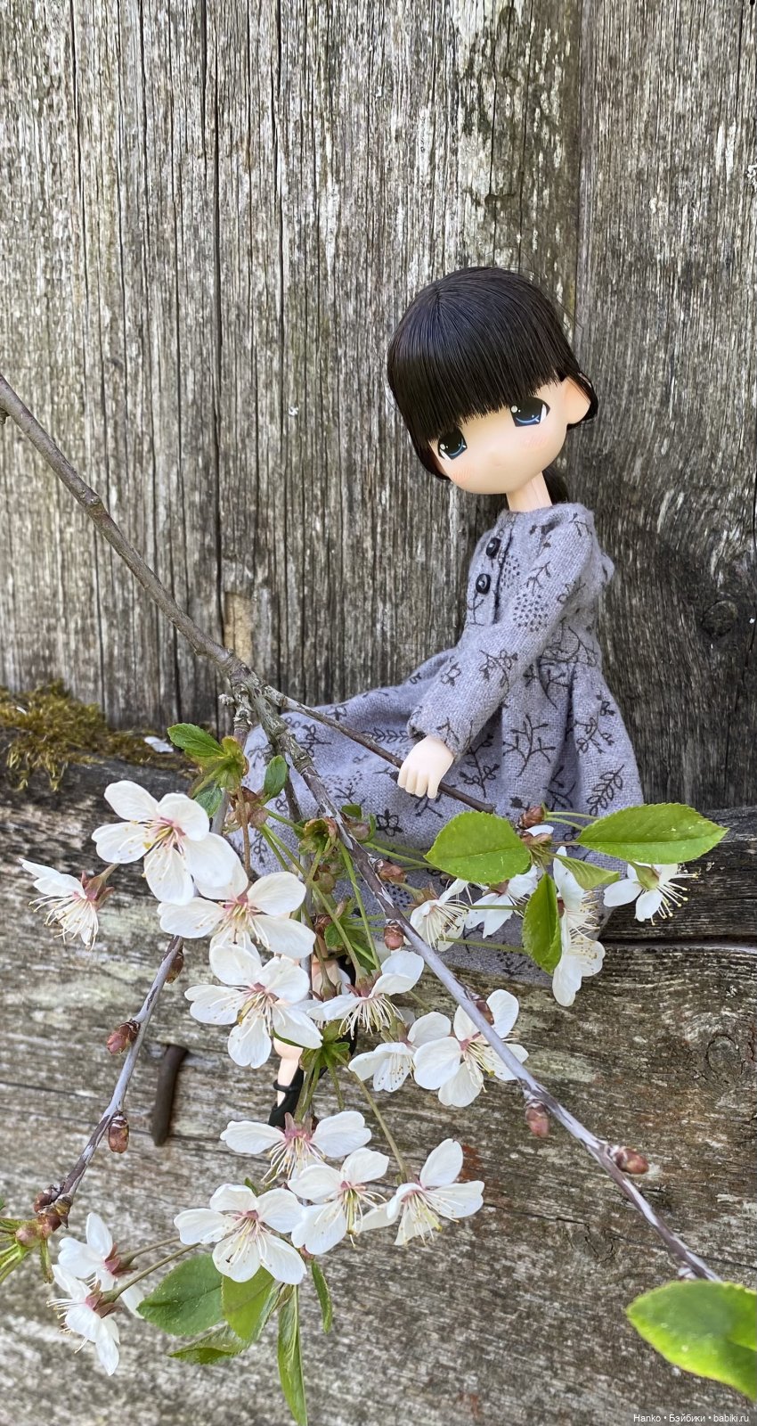 Mamachapp — Аниме куклы (MJD/Винил): Imomo