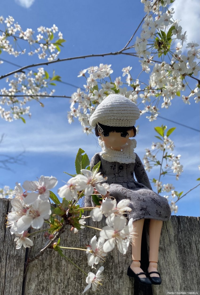 Mamachapp — Аниме куклы (MJD/Винил): Imomo