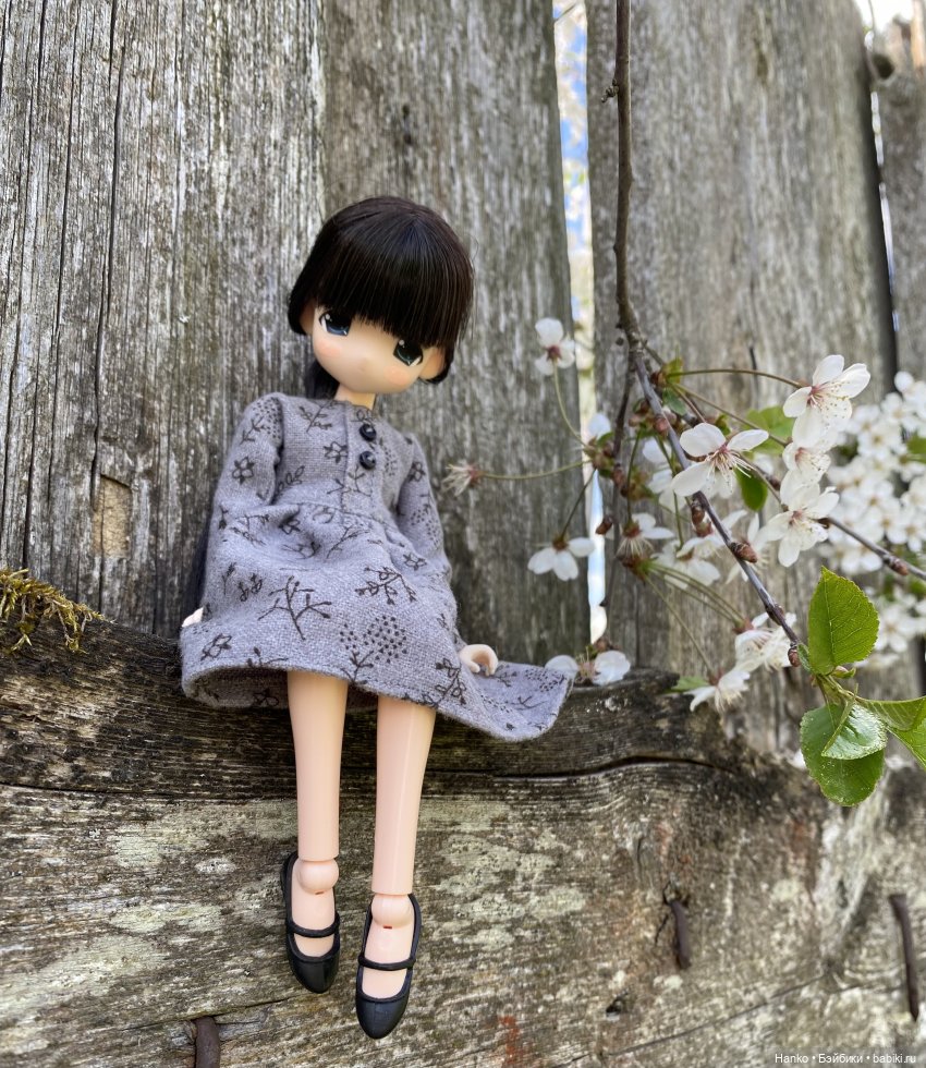 Mamachapp — Аниме куклы (MJD/Винил): Imomo