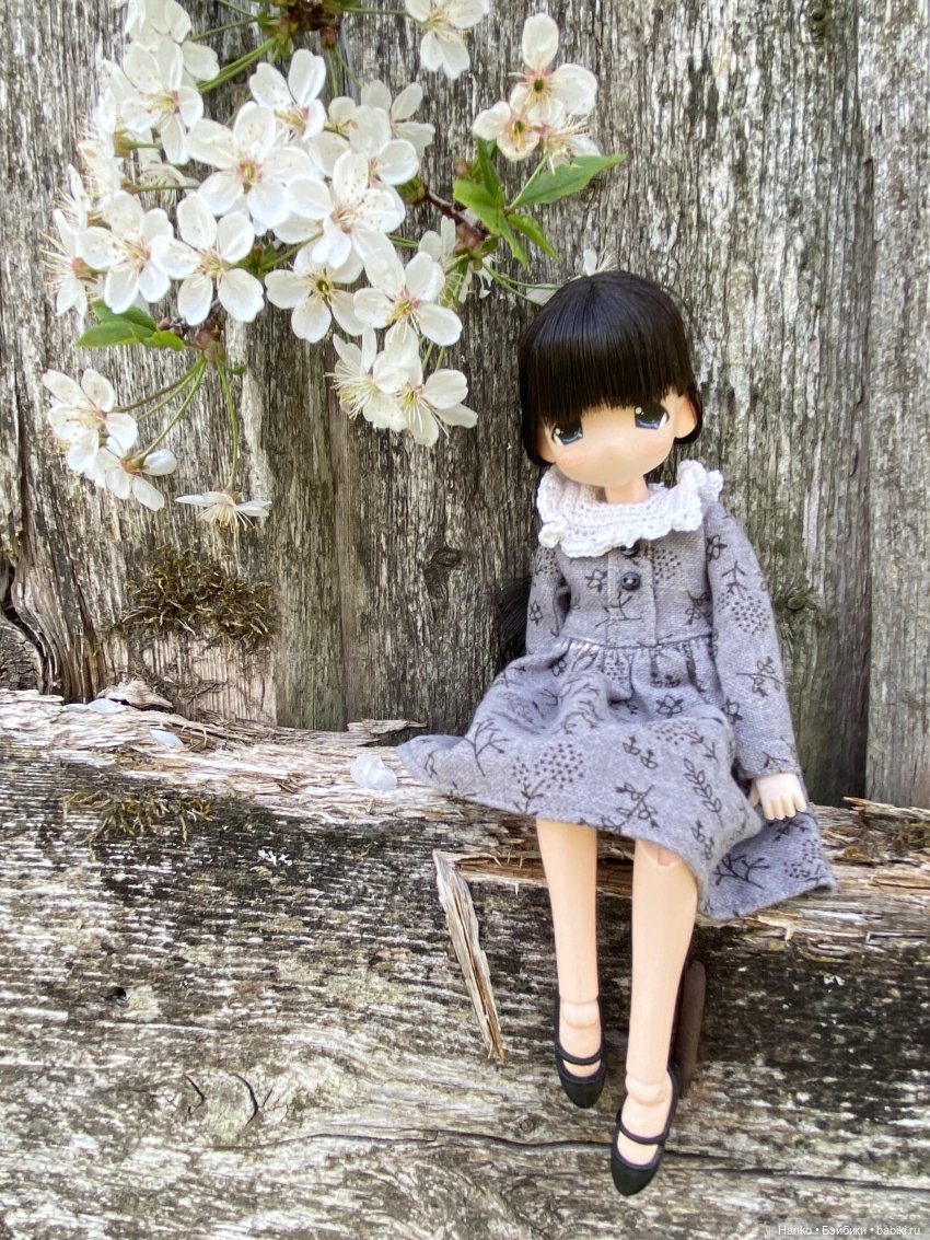 Mamachapp — Аниме куклы (MJD/Винил): Imomo