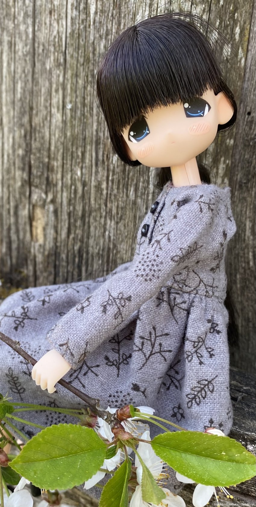 Mamachapp — Аниме куклы (MJD/Винил): Imomo