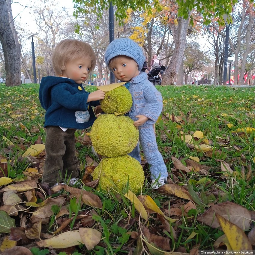 "В последний вагон " уходящей осени ( У вас еще нет Минуш?) (фото 10)
