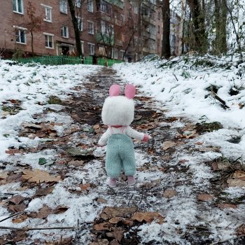 Прогулка Сури