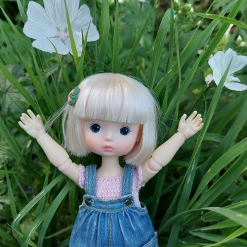 В поисках цветов...