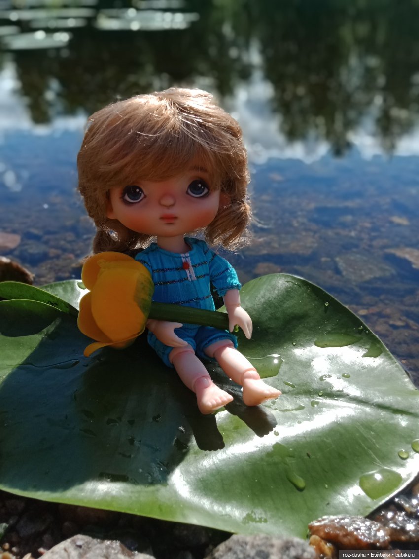 Лето дюймовочки — Гибриды шарнирных кукол (не БЖД): подбор тела (фото 7)