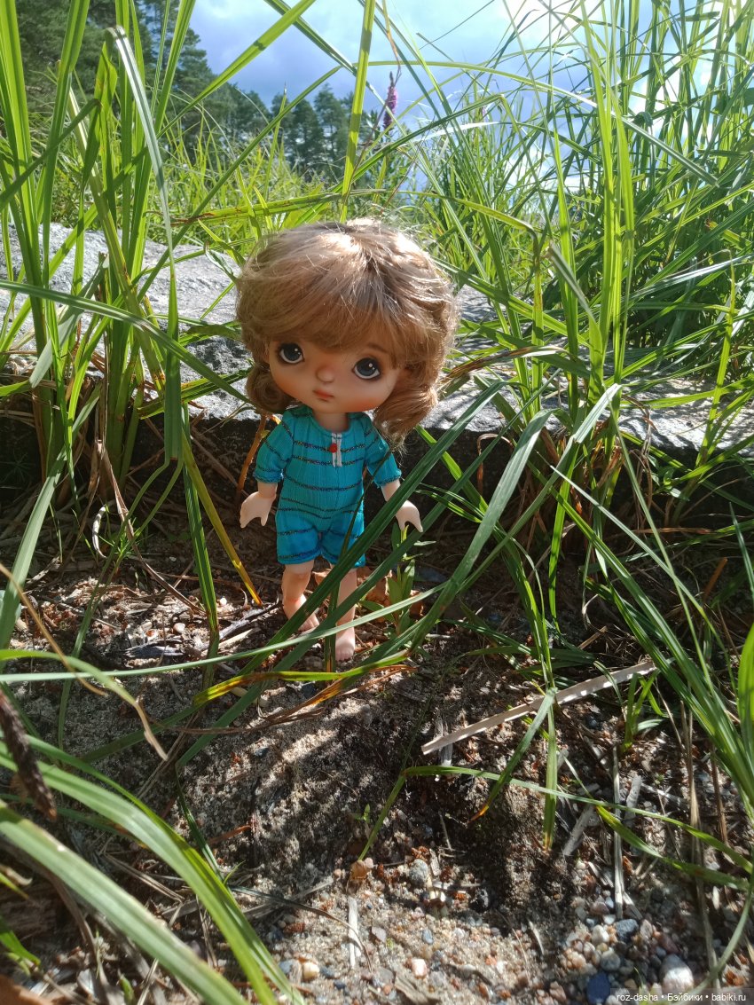 Лето дюймовочки — Гибриды шарнирных кукол (не БЖД): подбор тела (фото 6)