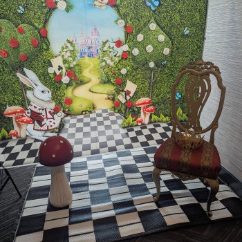 Кукольная выставка в Техасе  12 июля 2025 года