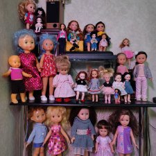 Моя коллекция