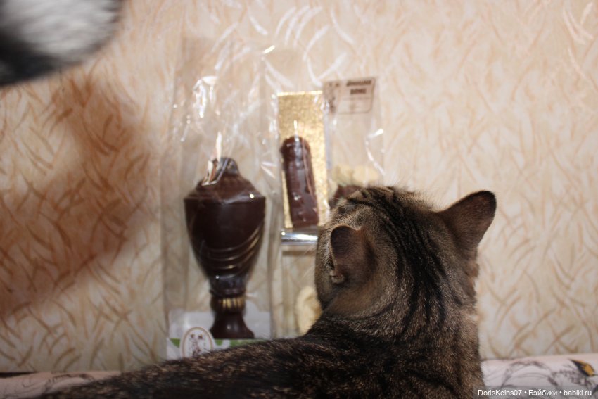 Подарочек на День рождения (фото 9)