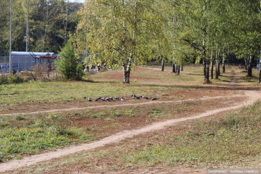 ... из пода-а-аренного ветром крепдешина