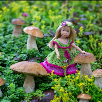 Грибная Фея Вера Kruseiligs