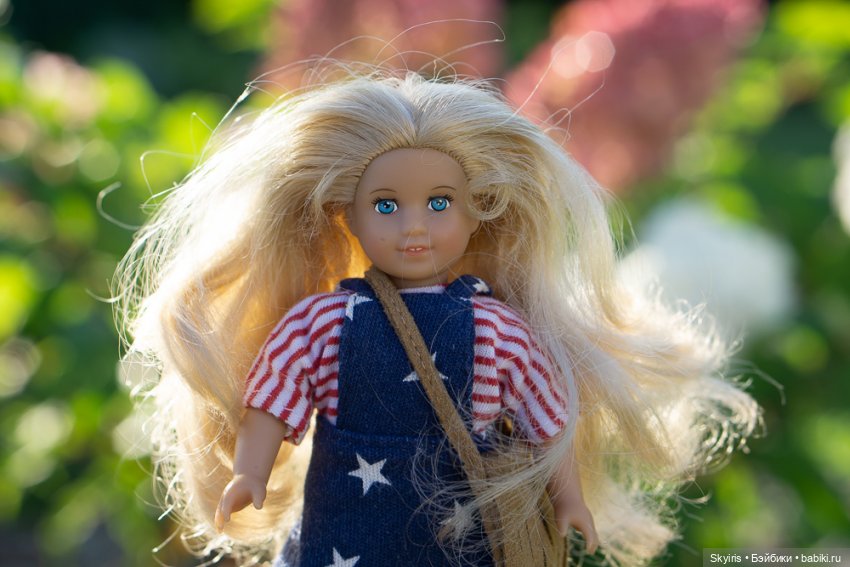 Большая компания дюймовочек American girl и Lori | Бэйбики Большая компания дюймовочек American girl и Lori (фото 10)