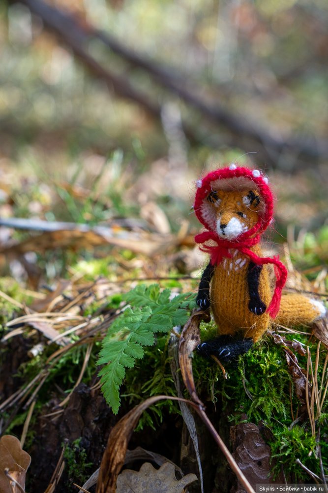 Zwergnase Ann-Maja: девочка осень и лисенок (фото 4)