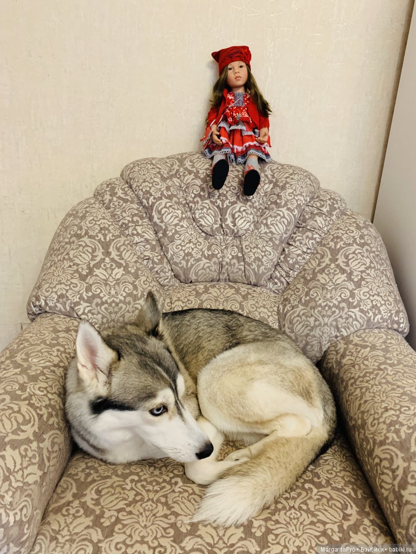 Фотосессия девочек Gotz. Обновочки | Бэйбики Фотосессия девочек Gotz. Обновочки