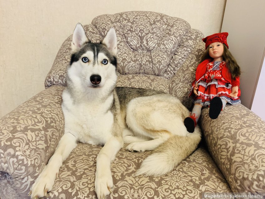 Фотосессия девочек Gotz. Обновочки | Бэйбики Фотосессия девочек Gotz. Обновочки