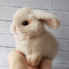Кролик из норки