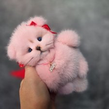 Котик из норки