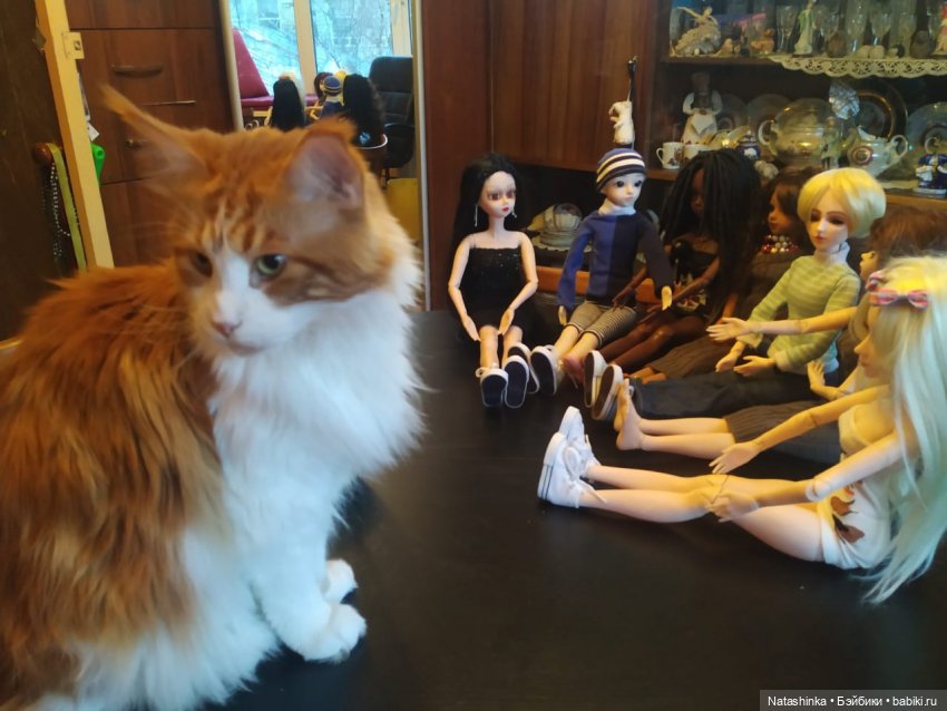 Fashion Dolls 34 — Куклы Звезды подиума (Angel Collection): шарнирные (фото 10)