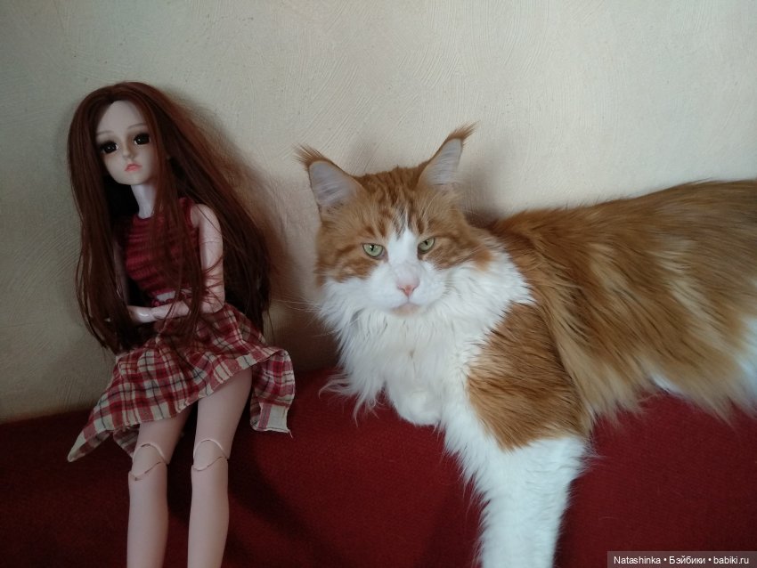 Fashion Dolls 38 | Бэйбики Fashion Dolls 38 — Куклы Звезды подиума (Angel Collection): шарнирные (фото 4)