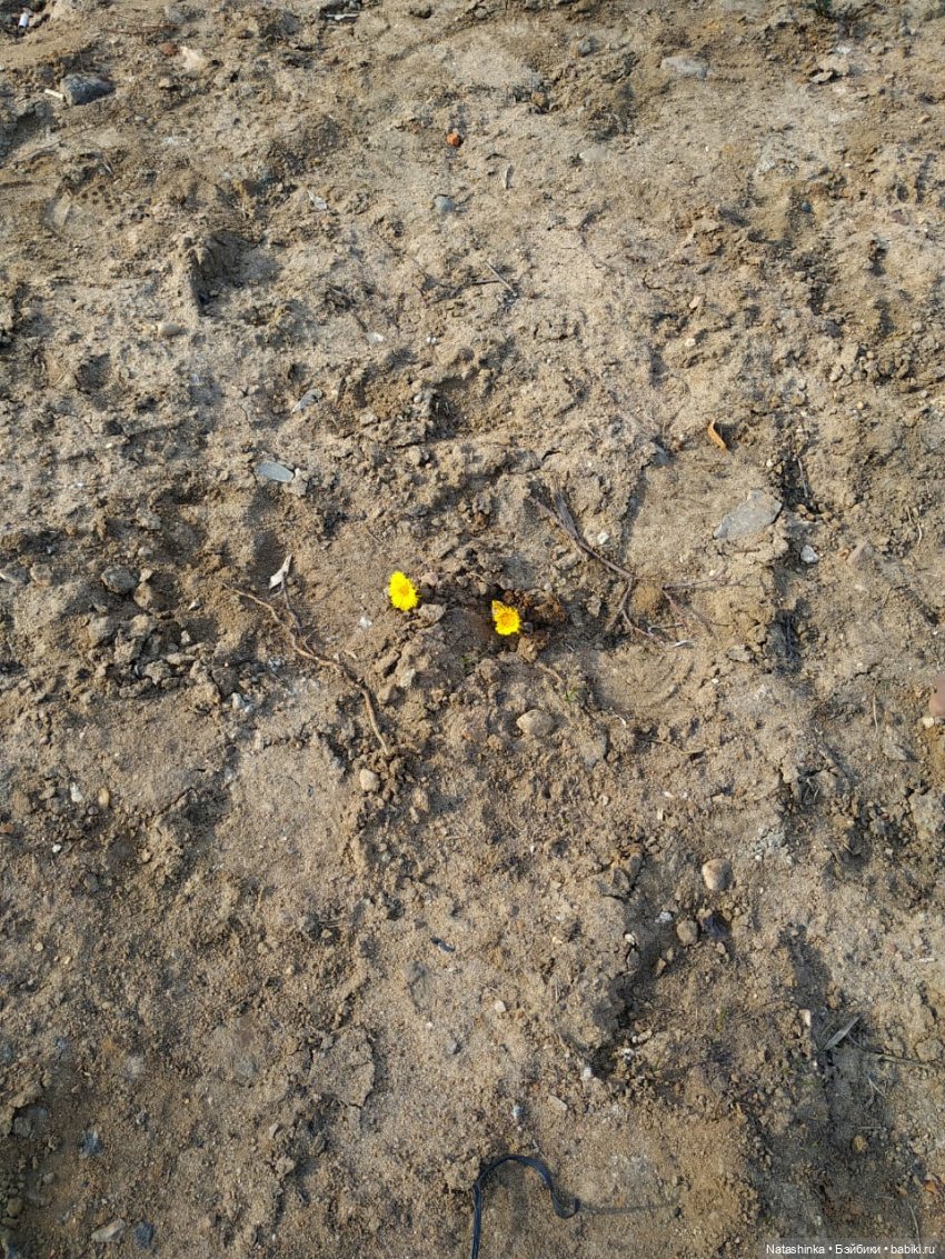 Fashion Dolls 40 — Куклы Звезды подиума (Angel Collection): шарнирные (фото 10)