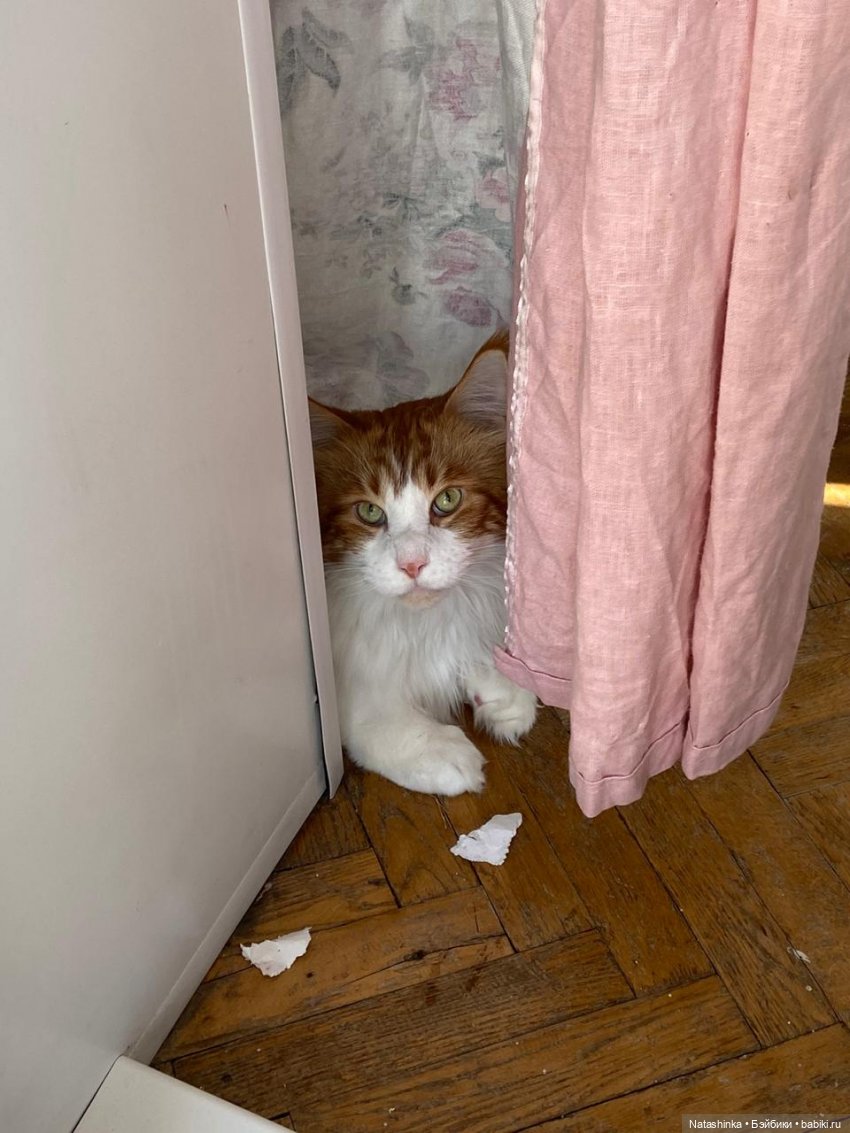 Fashion Dolls 46 — Куклы Звезды подиума (Angel Collection): шарнирные (фото 2)