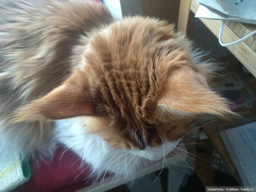 Fashion Dolls 47 — Куклы Звезды подиума (Angel Collection): шарнирные (фото 3)