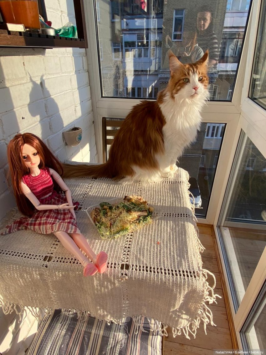 Fashion Dolls 47 — Куклы Звезды подиума (Angel Collection): шарнирные (фото 4)