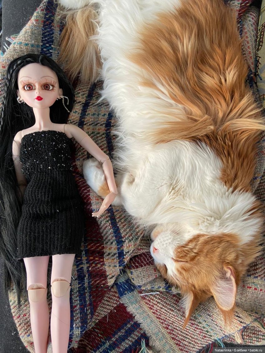 Fashion dolls 48 — Куклы Звезды подиума (Angel Collection): шарнирные (фото 8)