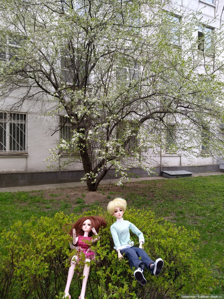 Fashion Dolls 50 — Куклы Звезды подиума (Angel Collection): шарнирные (фото 3)