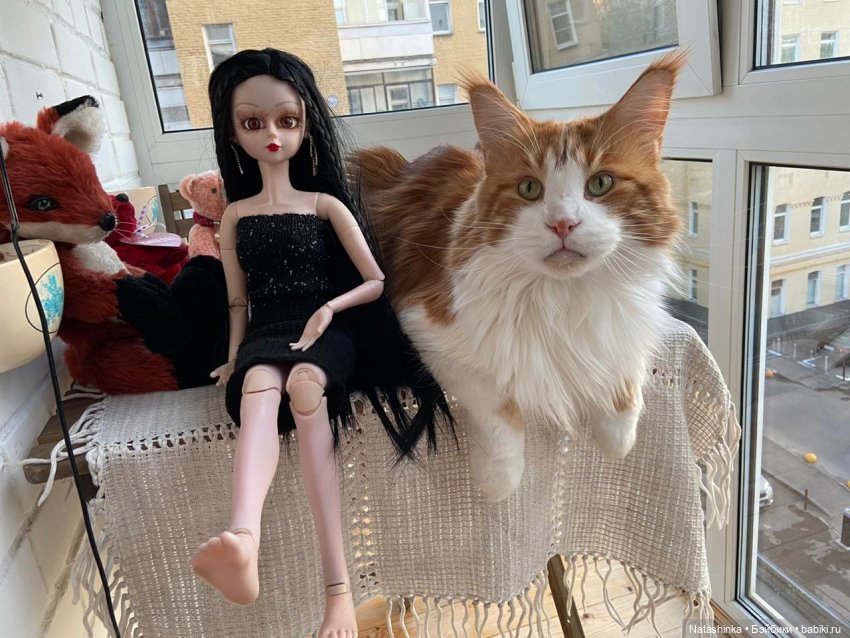 Fashion Dolls 53 — Куклы Звезды подиума (Angel Collection): шарнирные (фото 8)
