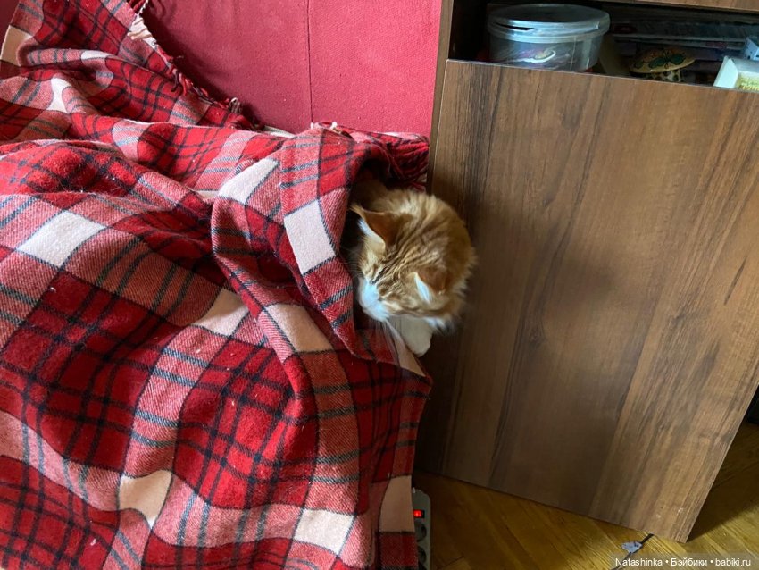 Fashion Dolls 54 — Куклы Звезды подиума (Angel Collection): шарнирные