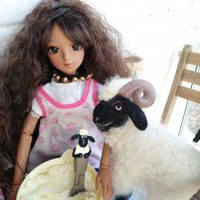 Fashion Dolls 54