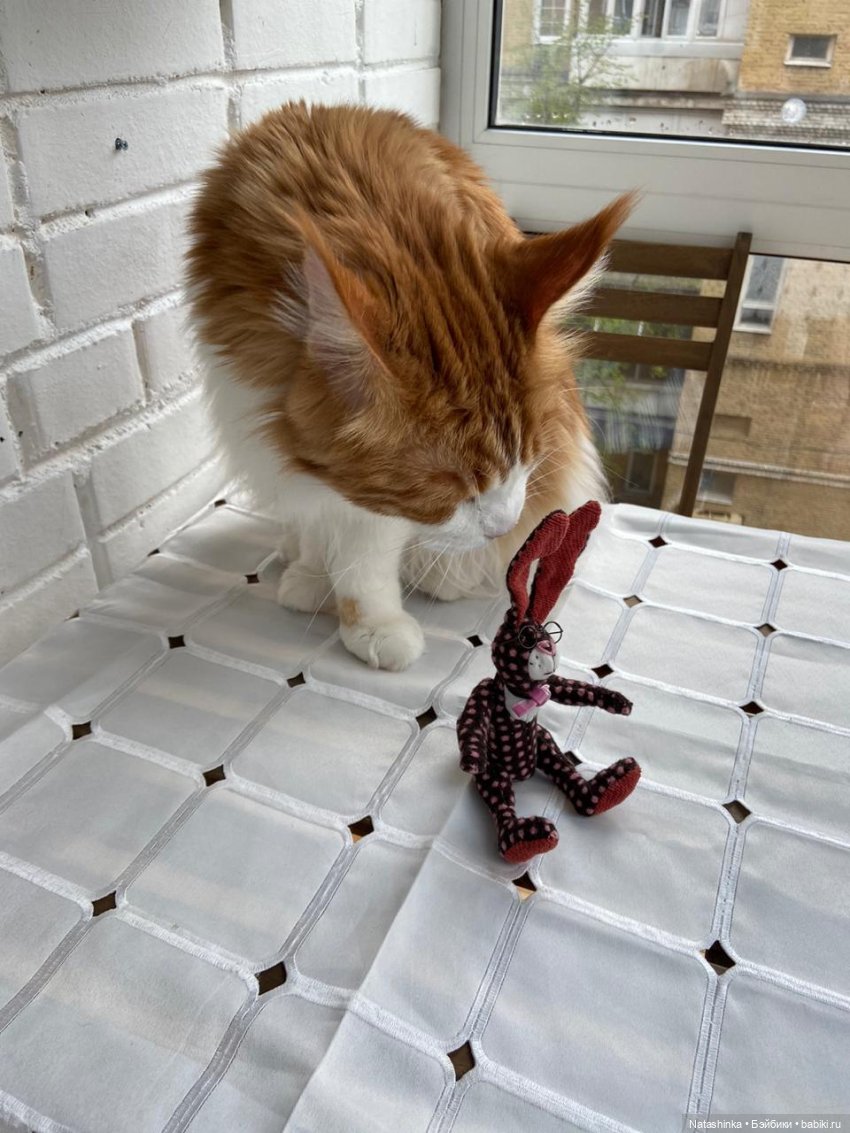 Fashion Dolls 57 — Куклы Звезды подиума (Angel Collection): шарнирные (фото 3)