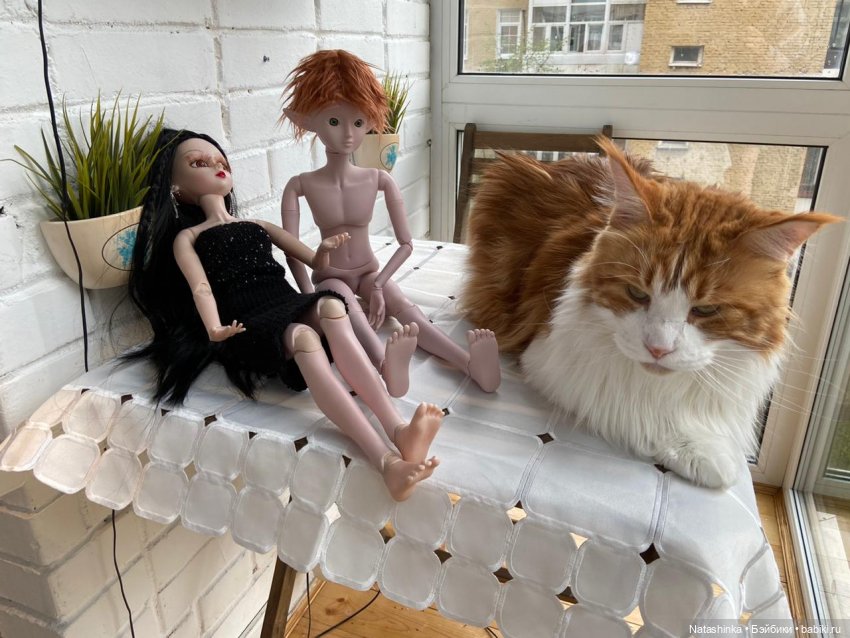 Fashion Dolls 58 — Куклы Звезды подиума (Angel Collection): шарнирные (фото 9)