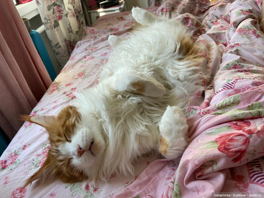 Fashion Dolls 58 — Куклы Звезды подиума (Angel Collection): шарнирные