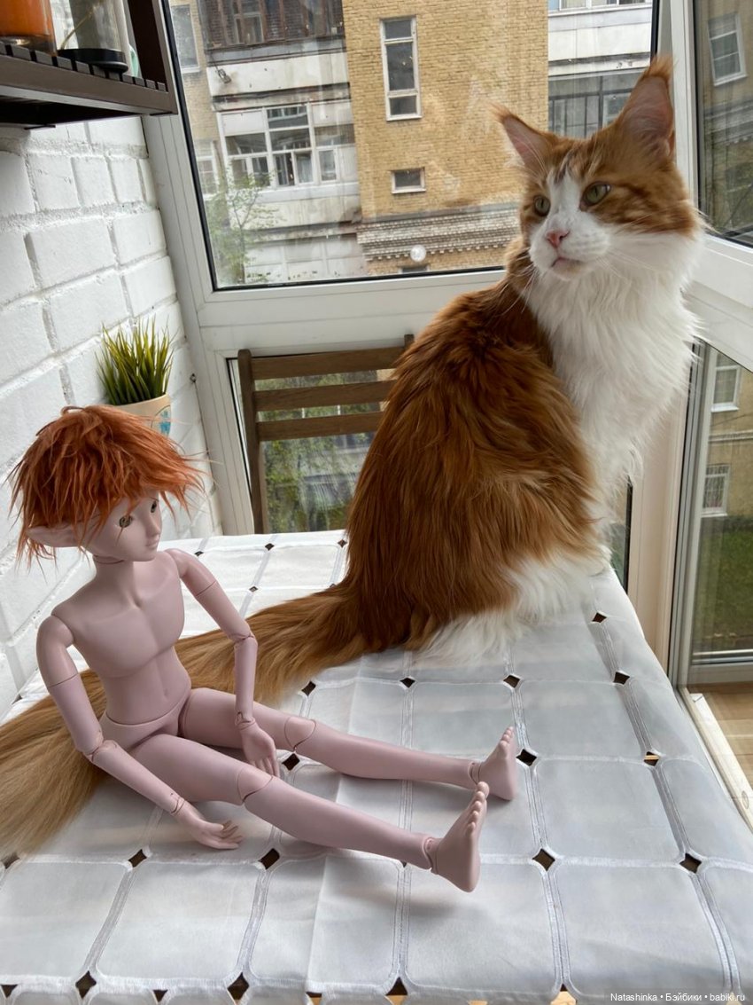 Fashion Dolls 58 — Куклы Звезды подиума (Angel Collection): шарнирные (фото 8)