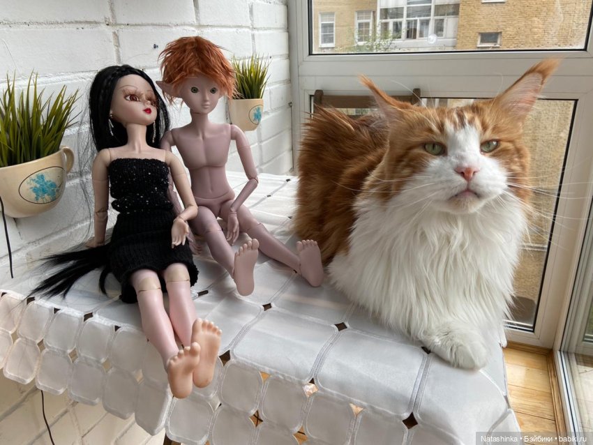 Fashion Dolls 58 — Куклы Звезды подиума (Angel Collection): шарнирные